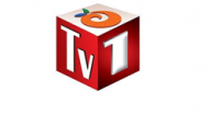 ../images/companies-logo/tv-1.png