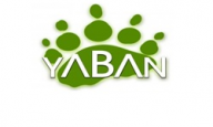 ../images/companies-logo/yaban-tv.png